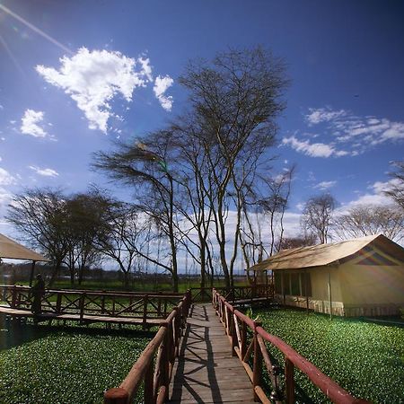 Hotel Kiboko Luxury Camp à Naivasha Extérieur photo