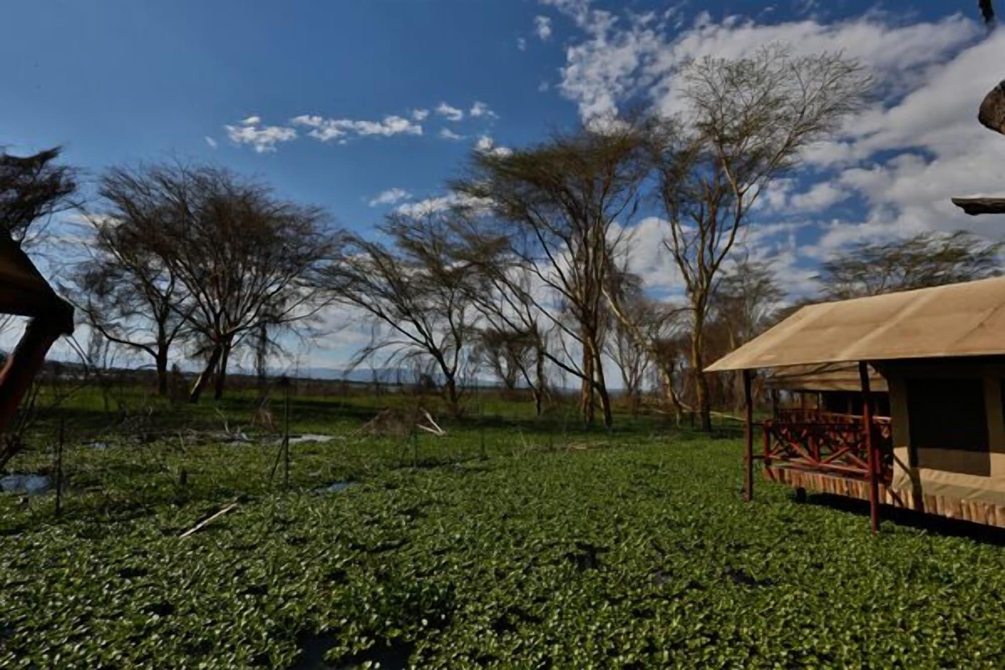 Hotel Kiboko Luxury Camp à Naivasha Extérieur photo